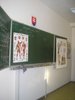 7r biológia 29